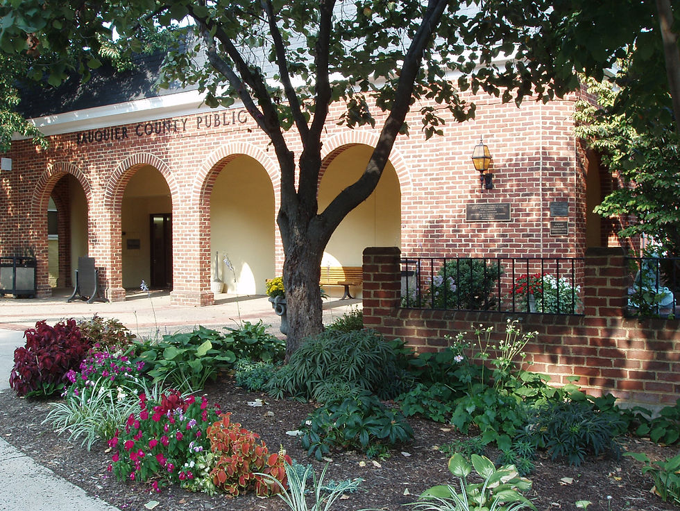 Photo of branch